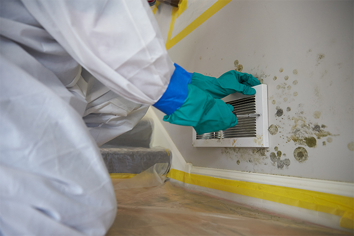 JCP Service Master Restore Mold Damaged 0218 Resized